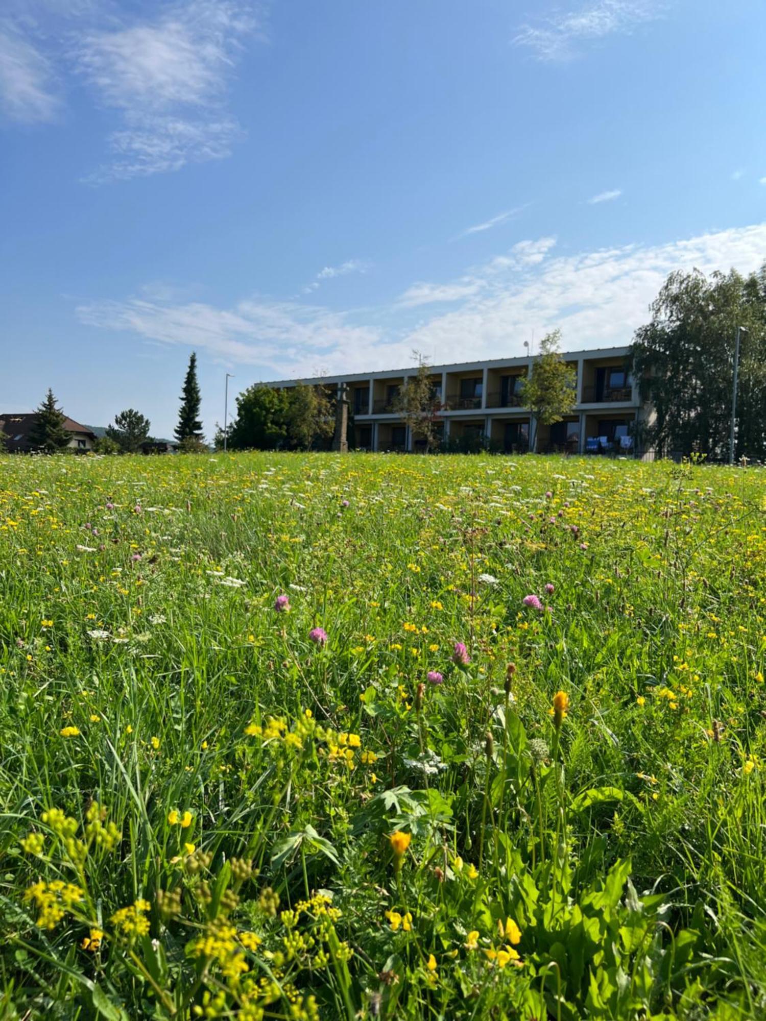 Lazensky A Wellness Hotel Nivamare Luhačovice Екстериор снимка